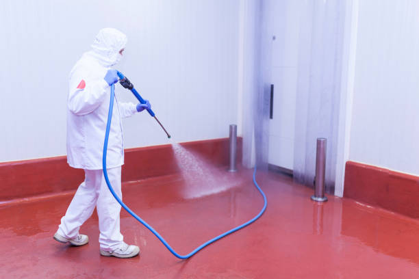 Best Graffiti Removal  in Hilltop, MN